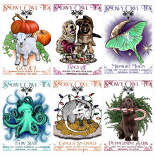 Load image into Gallery viewer, Limited Edition Tea-sachets: 6 Variety Sampler Set
